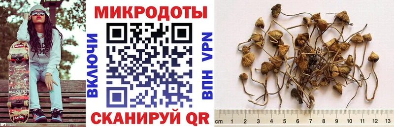 Купить где  Назарово  Псилоцибиновые грибы Magic Shrooms 